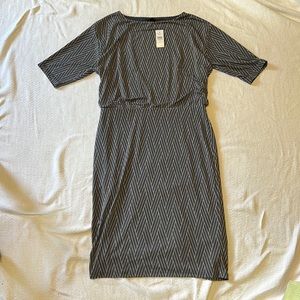 Ann Taylor Short Sleeve Dress